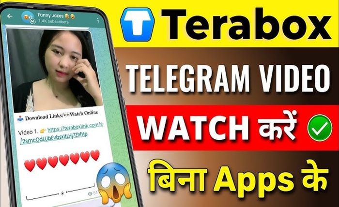 terabox watch online
