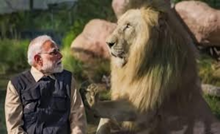 vantara jamnagar ticket price